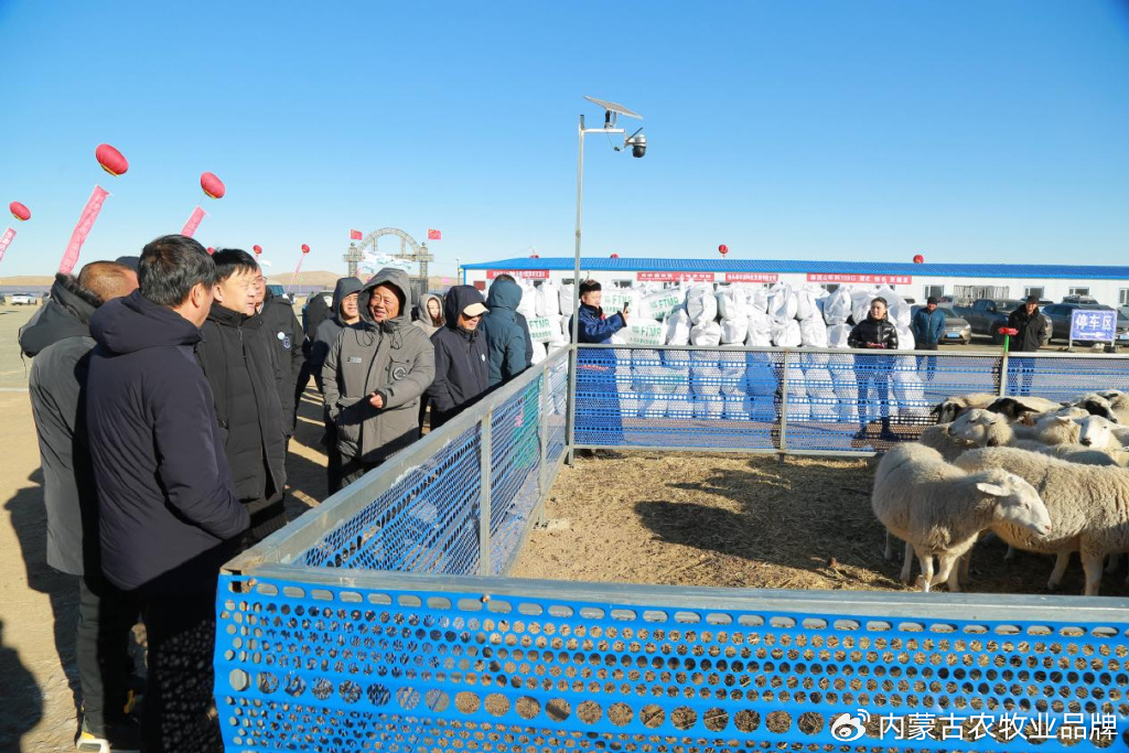 嘎达苏种畜场最新新闻动态报道