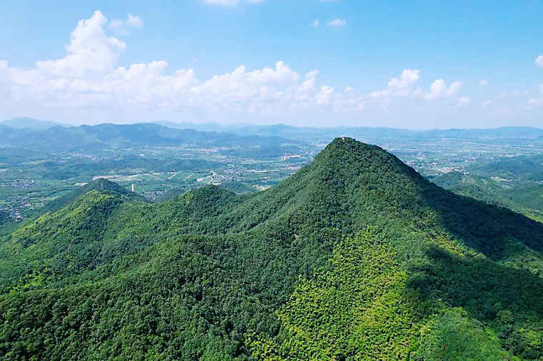 竹园村最新新闻报道