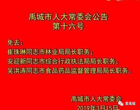 禹城市小学人事任命重塑教育力量，开启新篇章