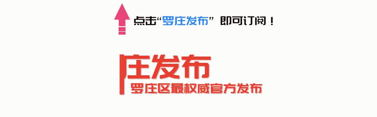 罗庄区科技局科技项目进展与创新成果展示报告