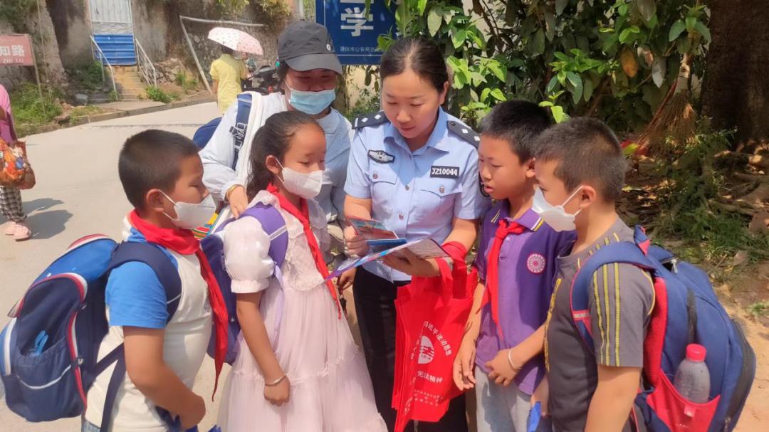 景洪市小学发展规划概览，未来教育蓝图揭晓