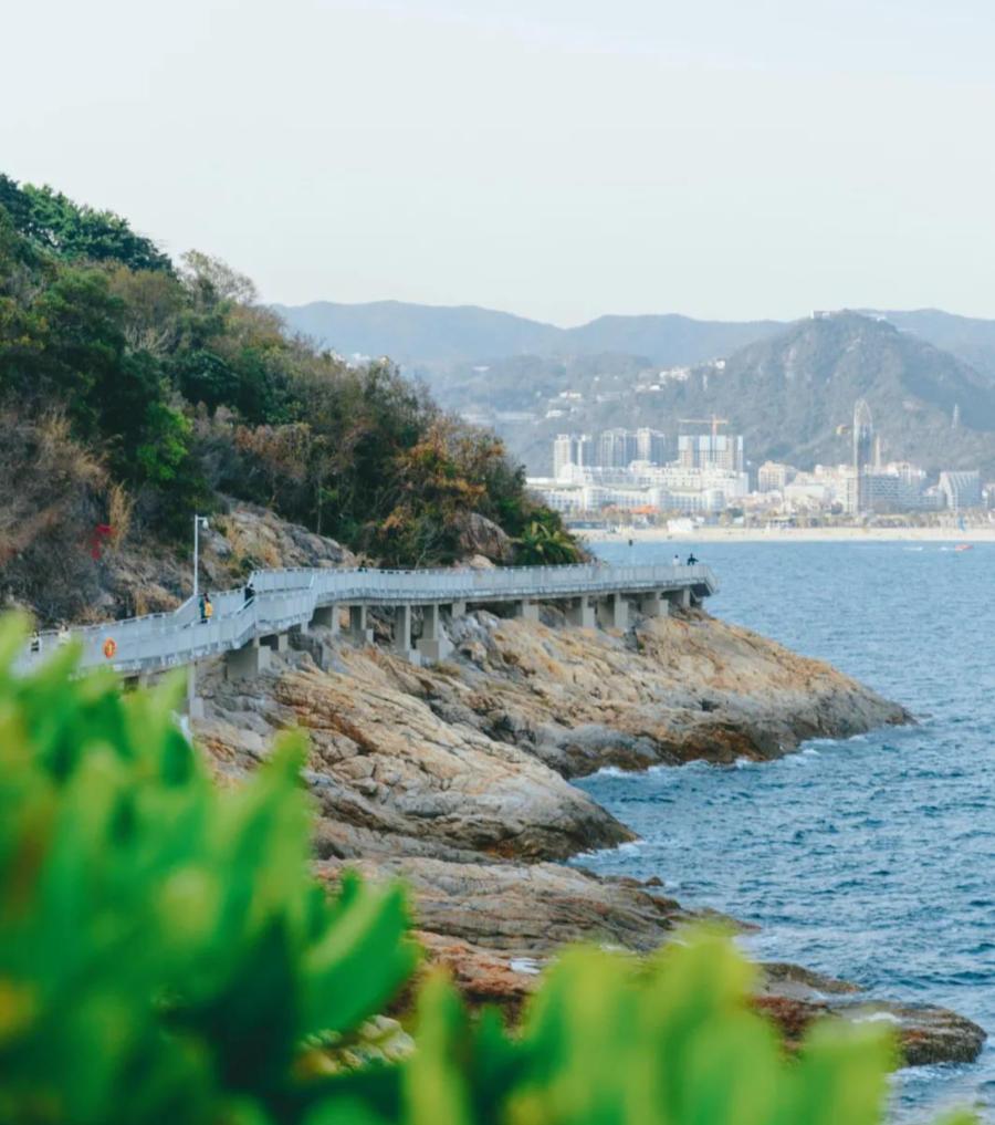 古塔区图书馆迈向文化繁荣的未来之旅