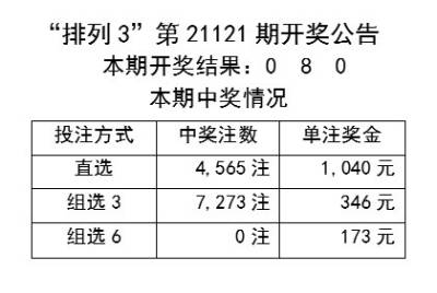 2024年新奥特开奖记录,专业执行方案_创意版2.462