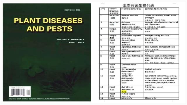 澳门最精准正最精准龙门蚕,科学化方案实施探讨_基础版40.890