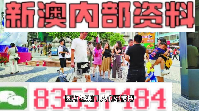 新澳门全年免费资料大全2024,诠释解析落实_粉丝版335.372