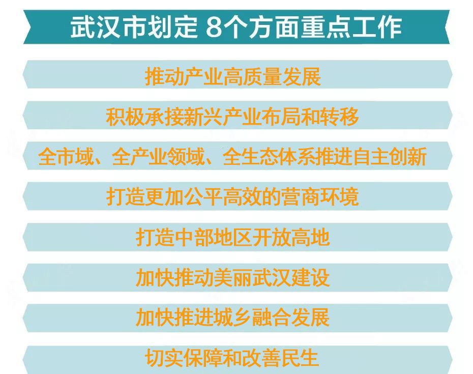 新澳2024年精准正版资料,合理执行审查_精简版69.90