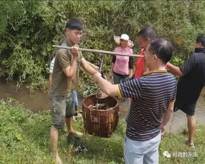 镇远县教育局新项目引领教育改革，塑造未来之光启航新征程